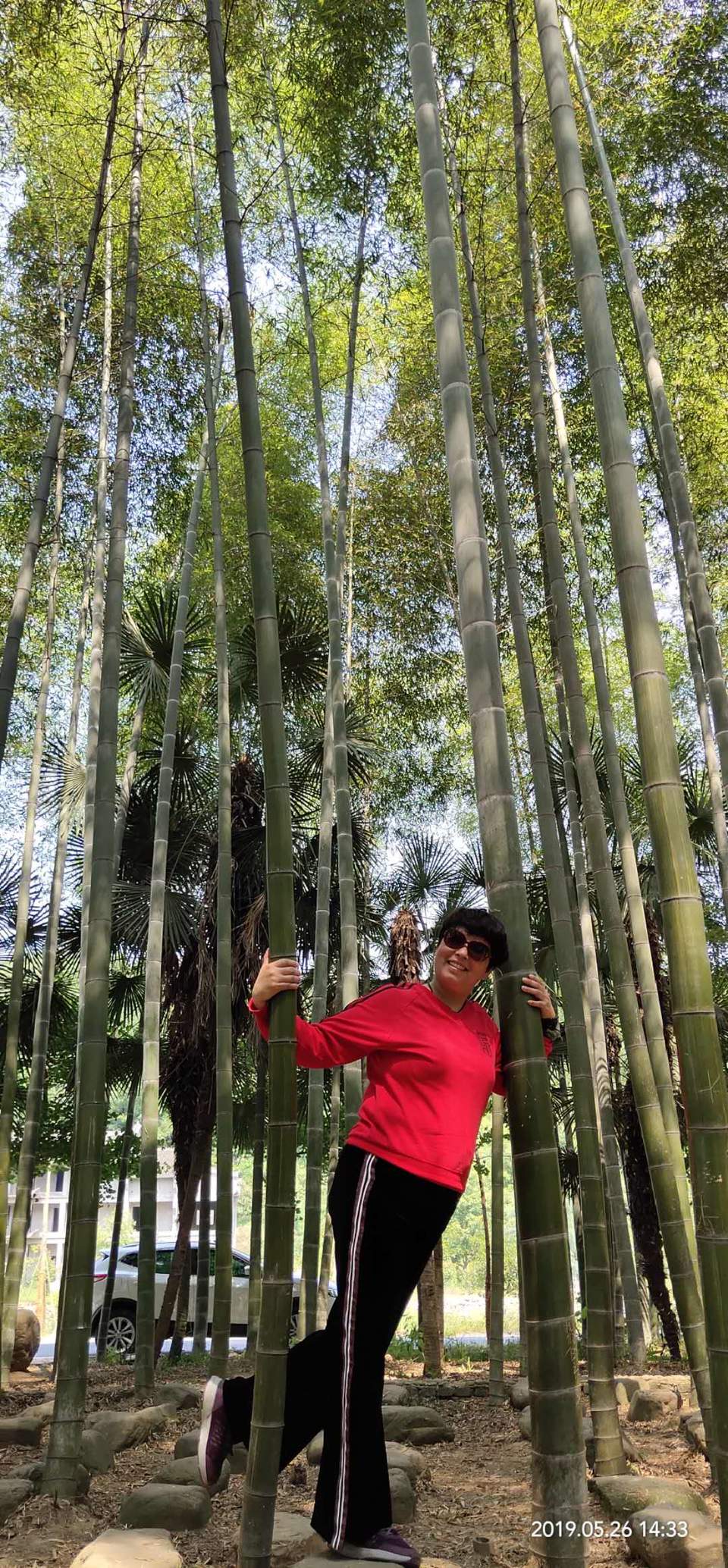 P9lYEixesF5QPXLzmihr6xoWOAi5StOE5ZS2R2mCRKBf1TrdyOHR8iGt1UMffAi9