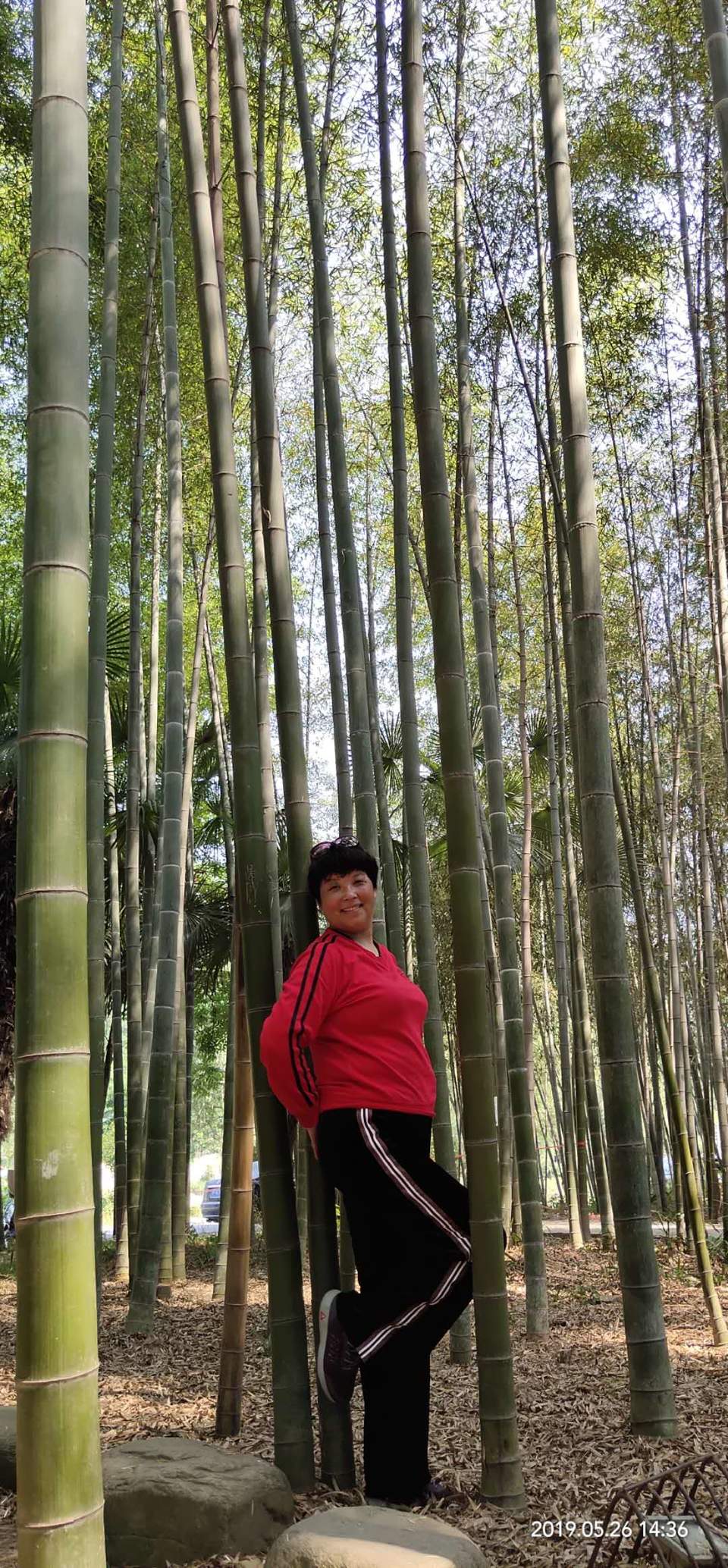 rXAlV1RWNsb3x4xzyyU820QE-eG8SOY-VB1tWwBFF81PkTHqrEosMjYD2U-0X1Lz