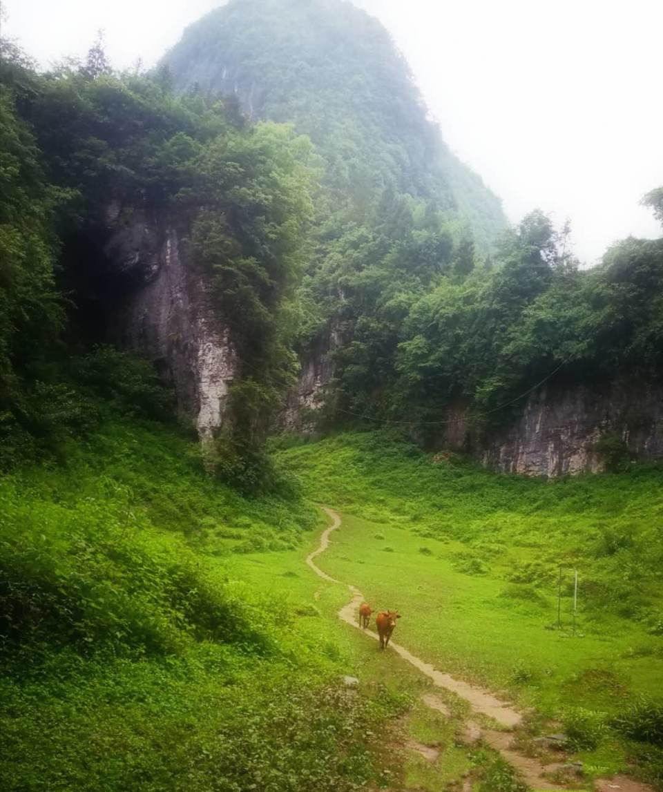 nCib9ZibCUxFS3dm0lXf4RRQq6F3QDt2oCVNiqJFuLX72wHRI62jGCQvpPJ_befL