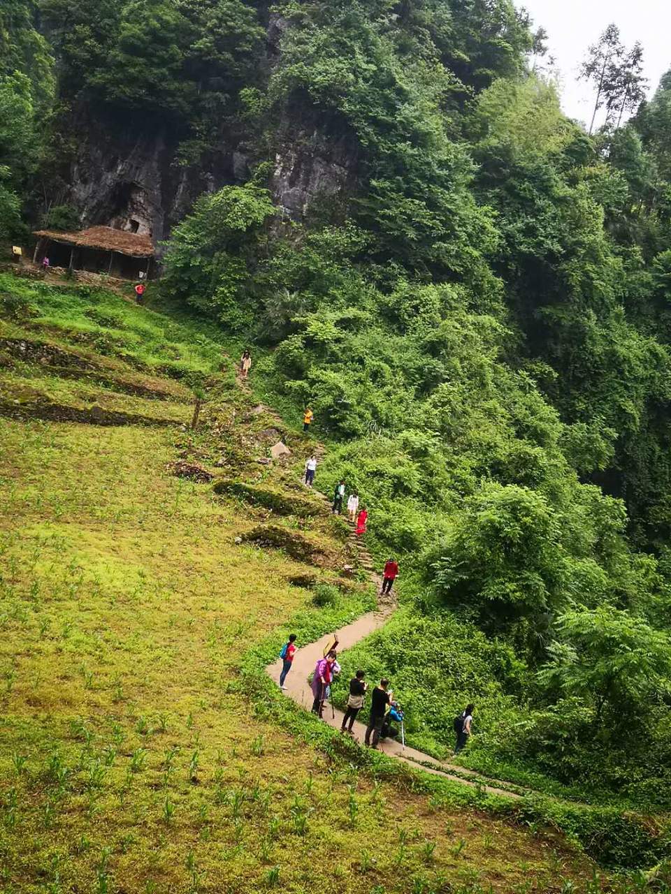 xtweQOyXLvdiWxMGnFQ3T8ckM8qFdjA4QGoDd4nuUuvCvbBObkMl_MF4Jg0ai2gc