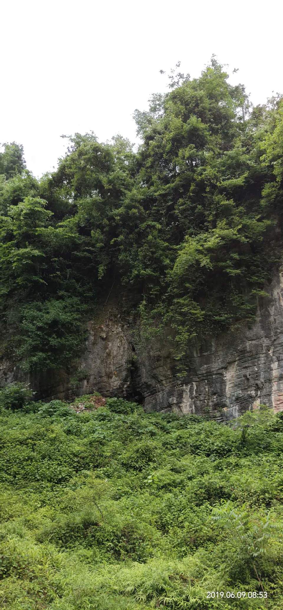 HeKi6MS9txn7L9I_-Wr9U6BQBlAu2RsMrLyU491i9ziZvf44U9rMppkjBvU8-tGe