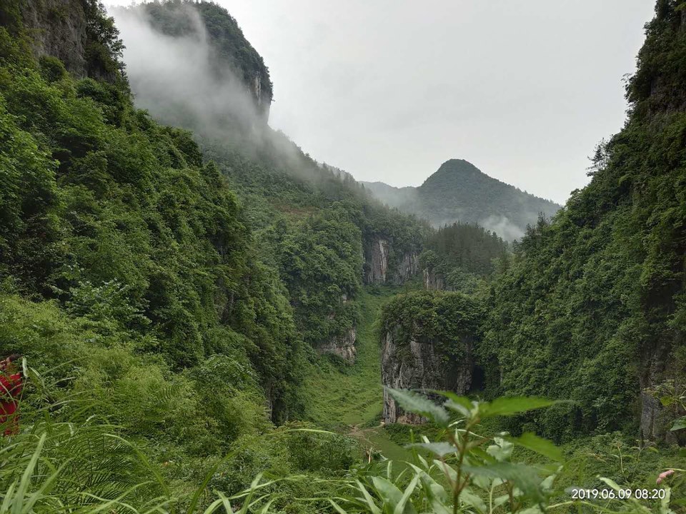 St4NKoK1In__7C17iY43w5n6RhSLnLjuEHPEwdl4Dxa5JbGpYNC8Rjl_N_mH1OKD