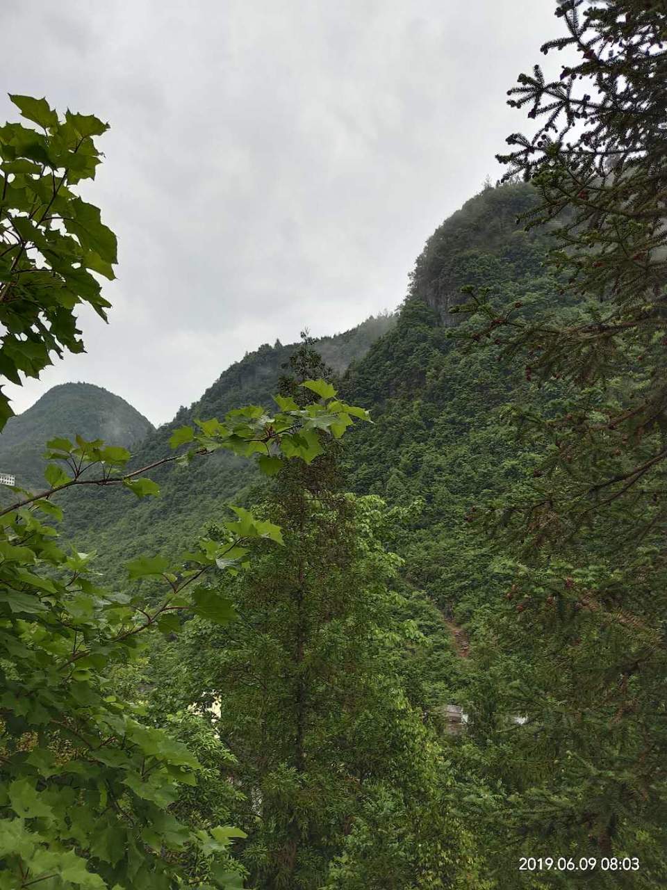 yz8a60SlfsJVF2NgyHTscdi4b8anyVRIidL5hcizVYL1A7pSx8Pzy9t4FFvbOYeL