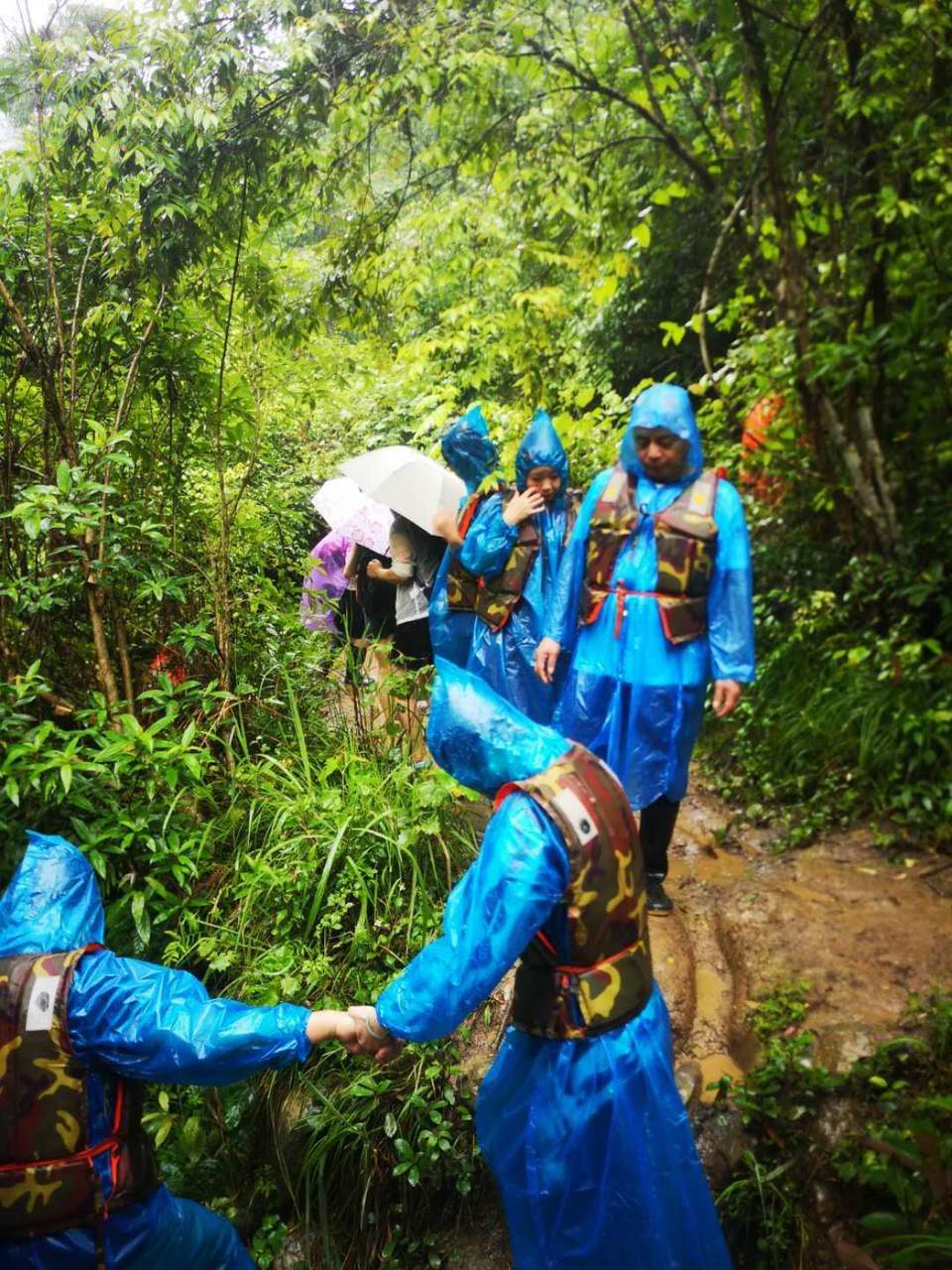 j5ALpm5182q6TQFZ8f8Bi2nP9gxYWLA93Vcssf70hcMrYsHv5dkkiGNit_FOjy5V