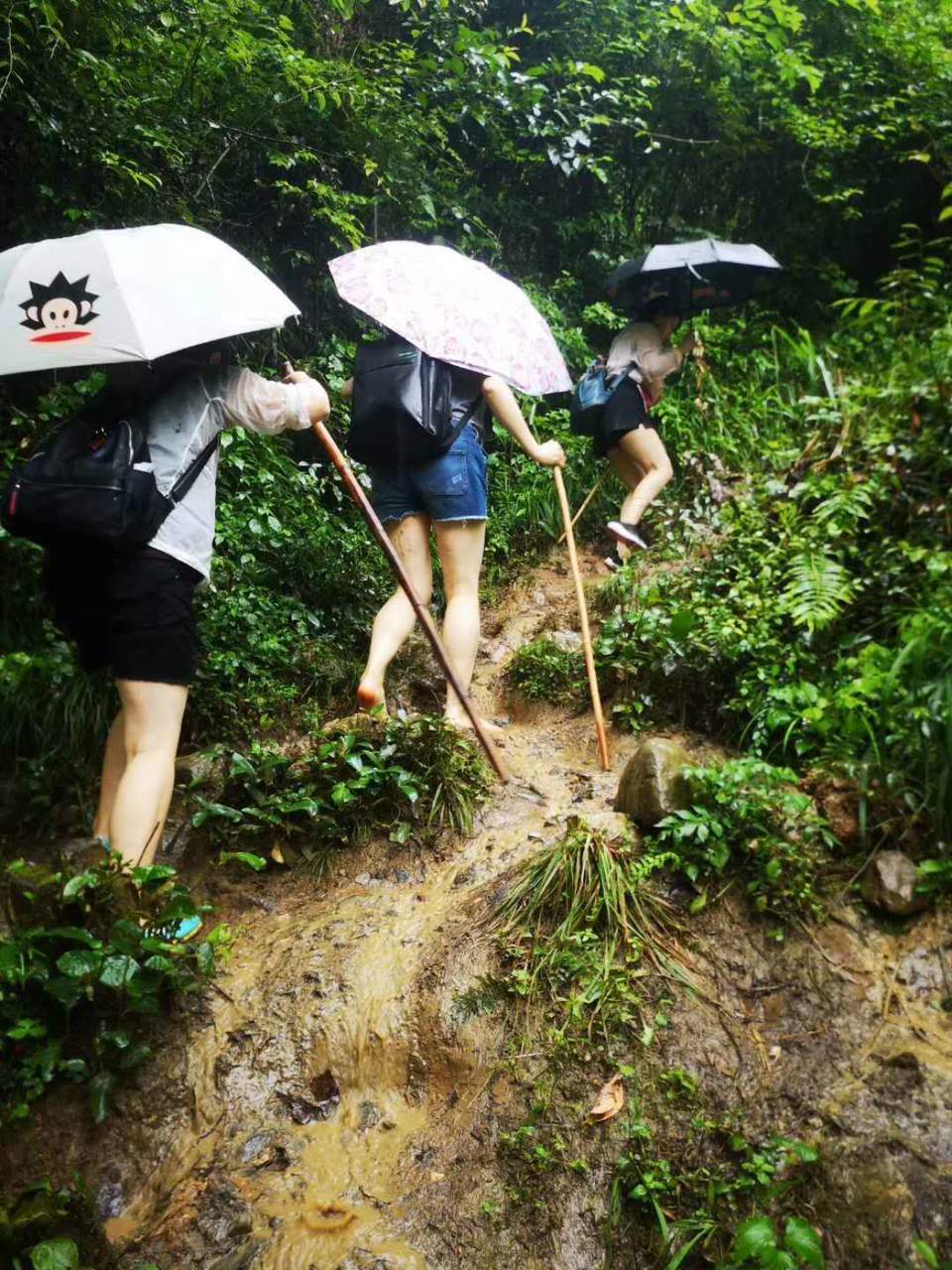 cnAJjnTbFRriYx3e3TCcrs1C8UFjdWLM5r78AkH-ojg6cNu9arUXS4Lnw81FrYyM