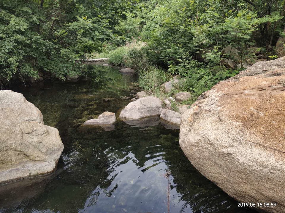 vApJ1eOn36IgC9snoZ5WD6pd2Pf5_c4X7jMyFv4O5qnLVAYSBgRpvIFJI71p0AbV