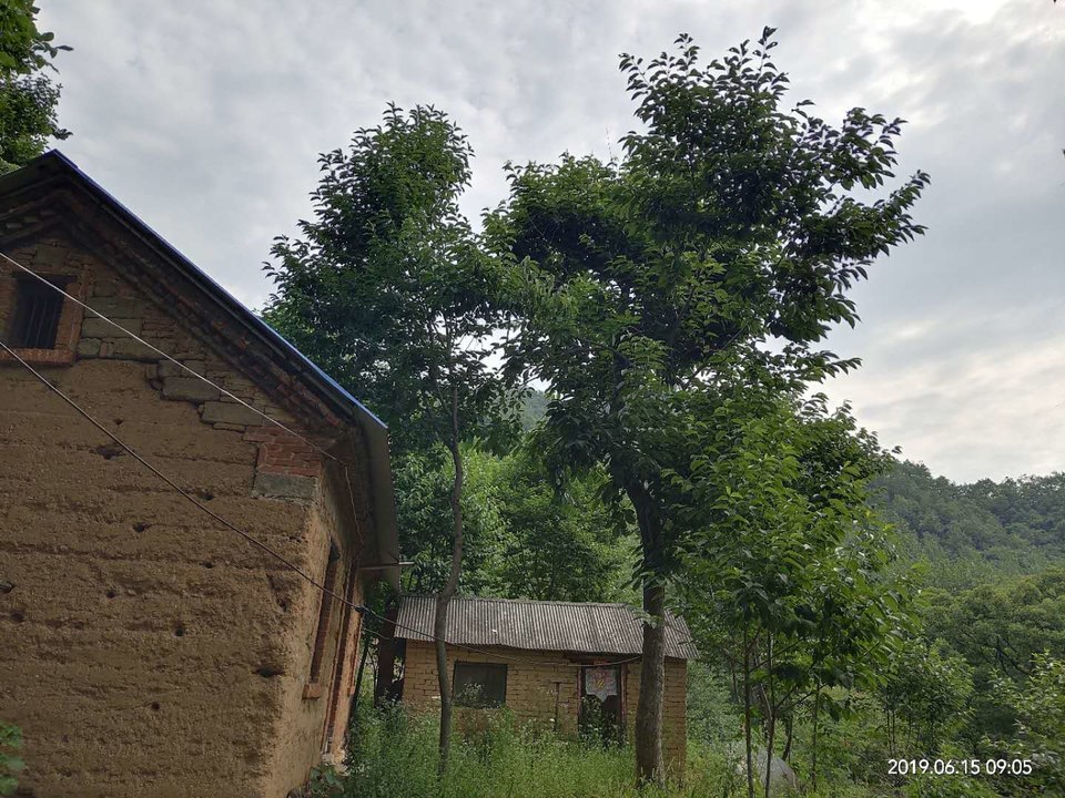 Zi031dDzUbCaUY2O9ymhW-XjAub7MQ9B0vPM3E_Dc6DhiLsz2SR4zFWKHiKei81w