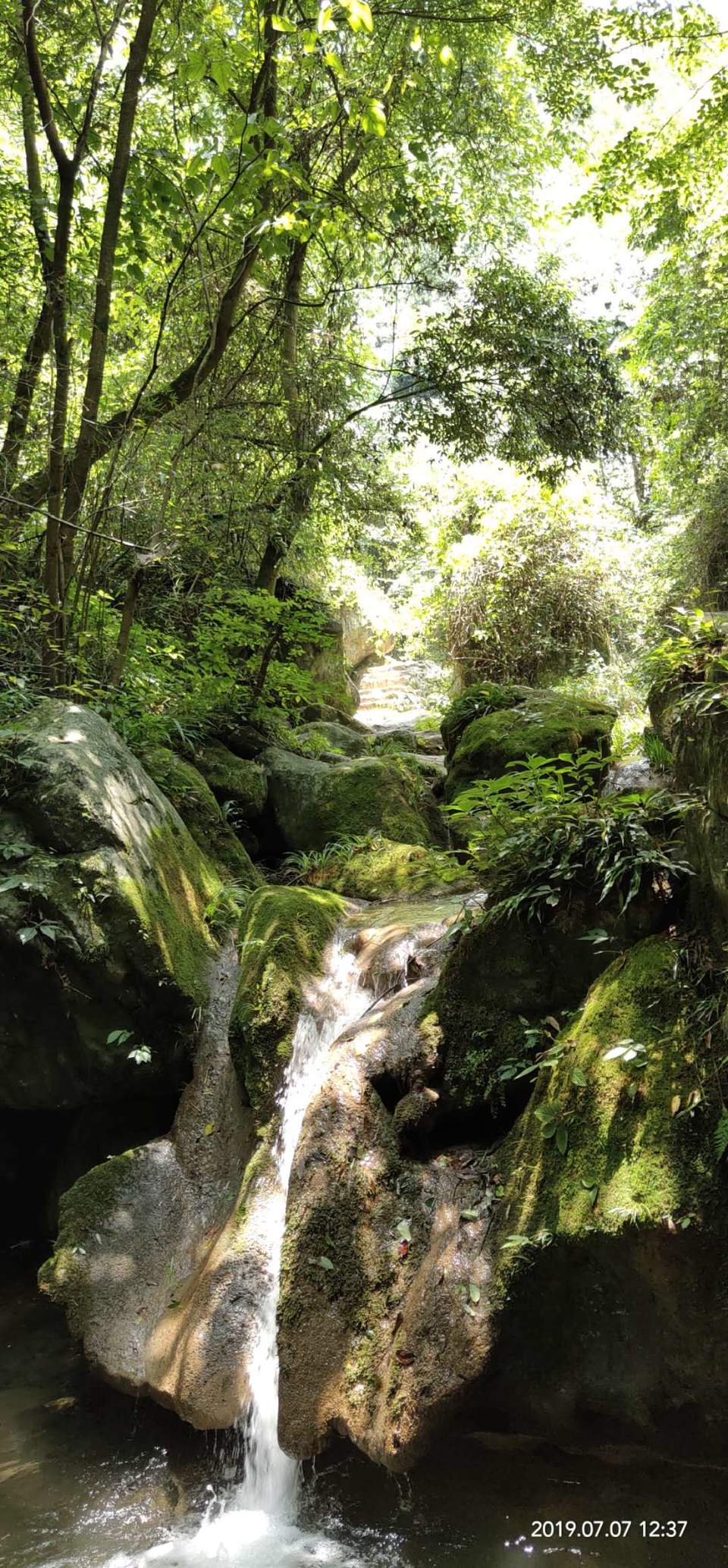 eD6A5nlMkcE2k8zHrSumPRs4RGyKRCNdmEr51IYHIIWpi45vQ-6v-c3cRtFeNOs2