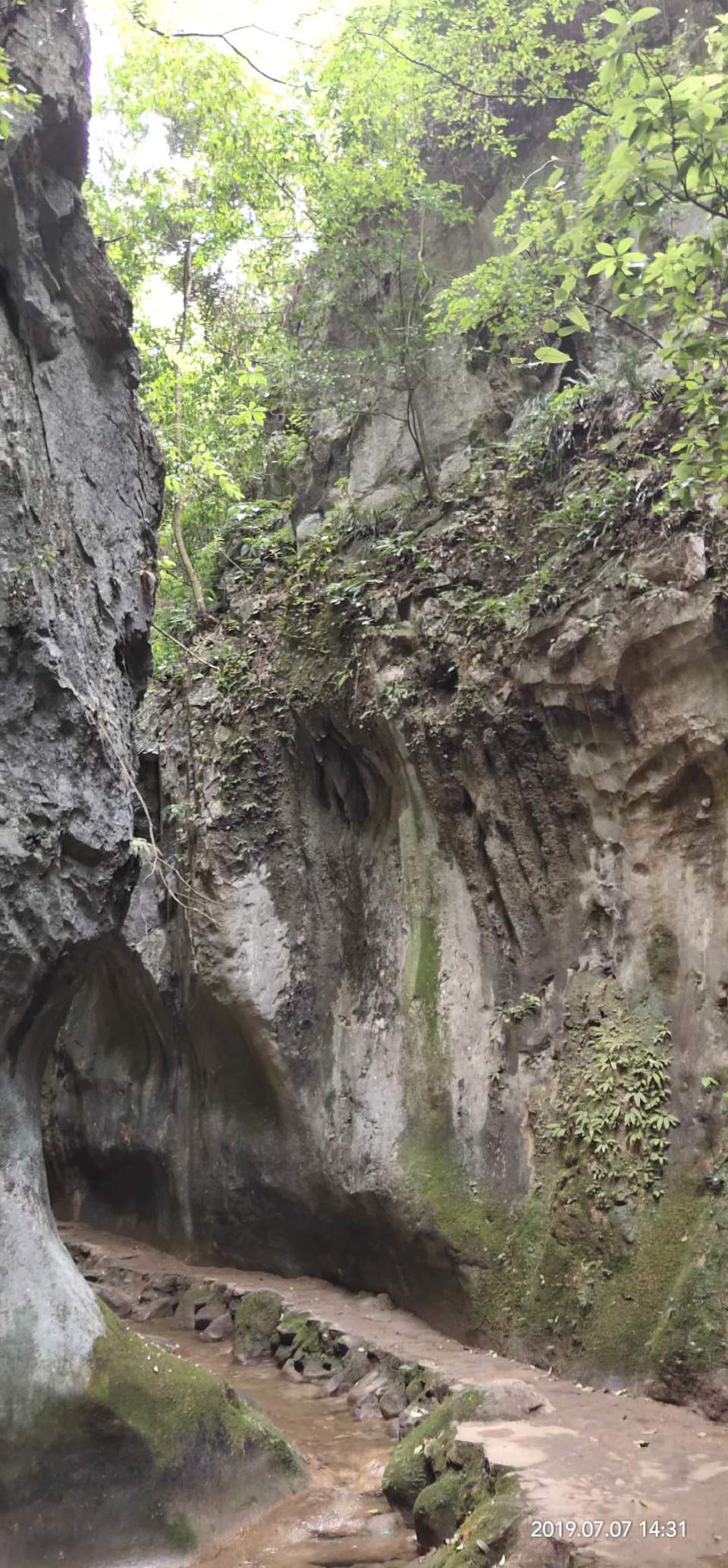 4Mf5c0v_GObSagq4CfdcLhWGcSW7CE1c709Y_STRbhL320ODrD4uyQcvl5yVElRe