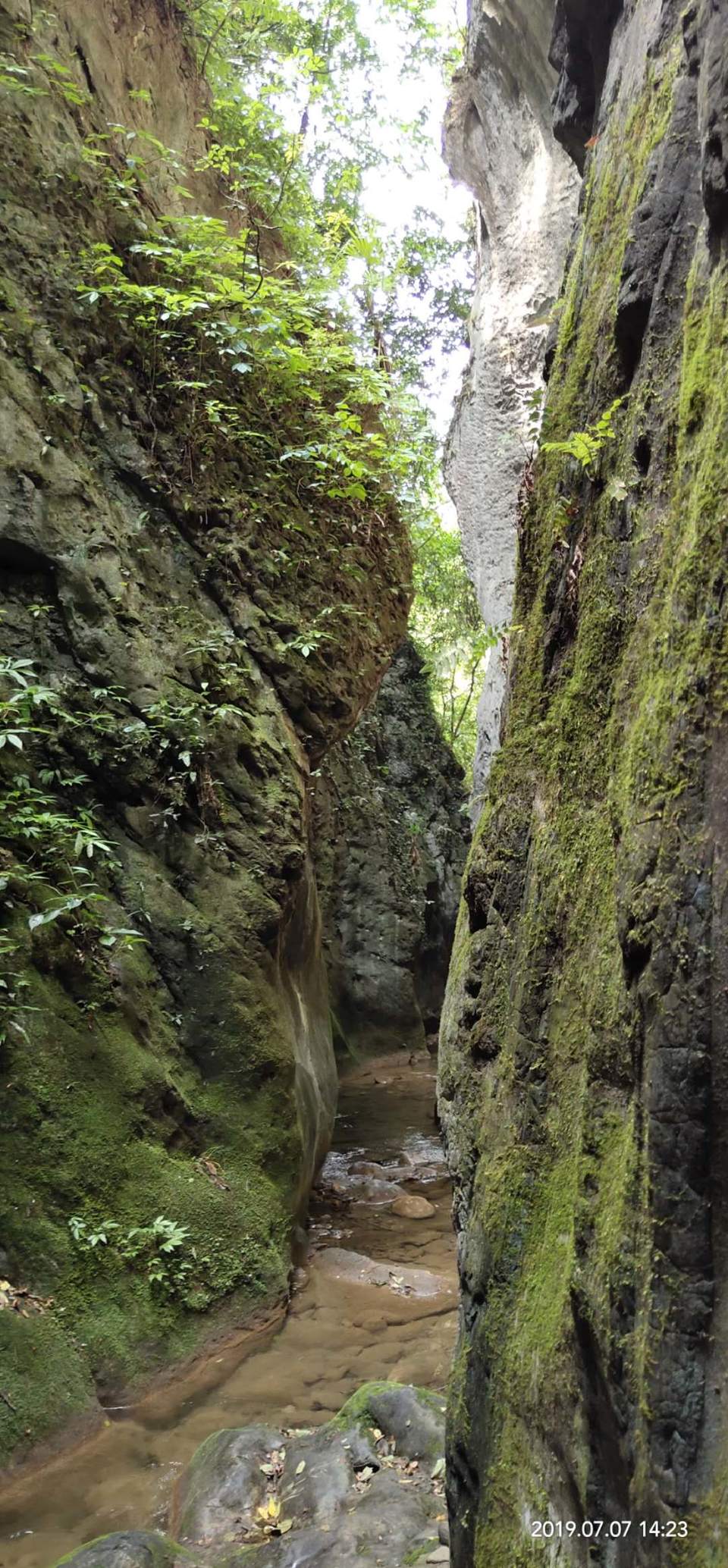 ThctGO_OvOxZUqNMYqOfIN4h4CUv0Yvi-O1ilsCqKKIceML3TXLili7JzKQXsv-T