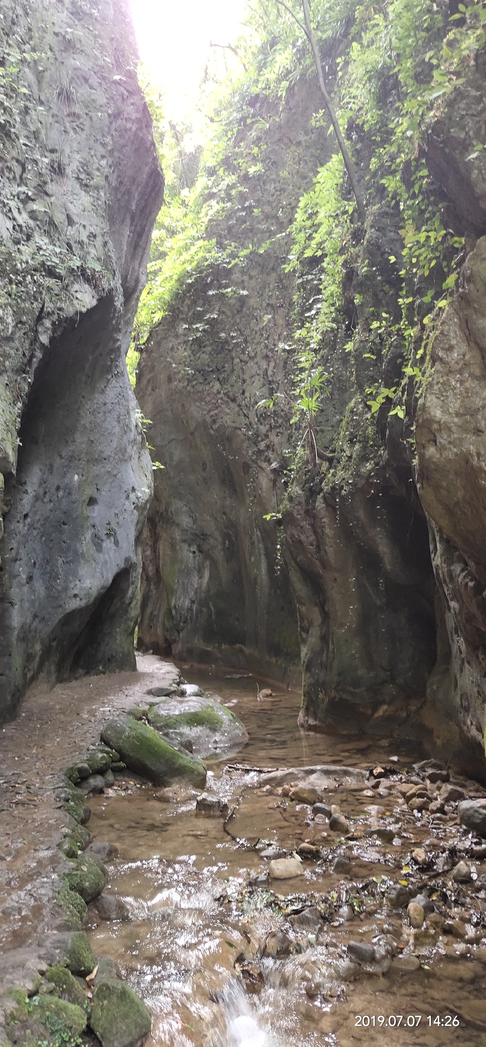 8CwQybuZ0RM6aw22ngj7jv1BGzzh892O1ZGtP-9XDtM5zzmekw8uiGvMQ349Ndde