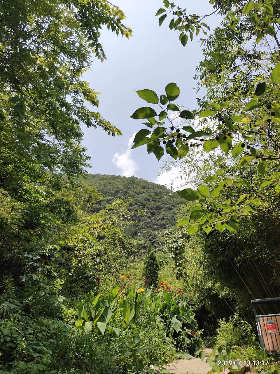 eYQRTLe7CbNZhzfebYMpUeQlZC8yZs6Y9pyu8YU-YihcfsFgVkEhHXLi6xpSlGvE