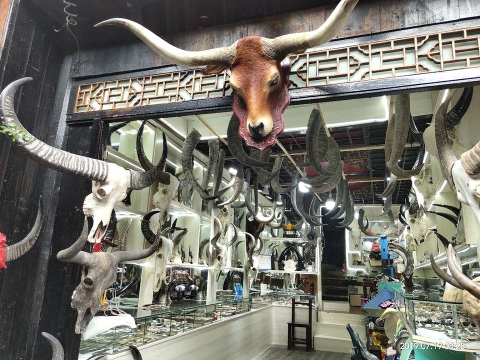 350-McsscsjeCAoaLMMOYeEBtkanhHj9ZRa0SPB4Khlcx5Hmt3W5cxKdtkHoiZ-J