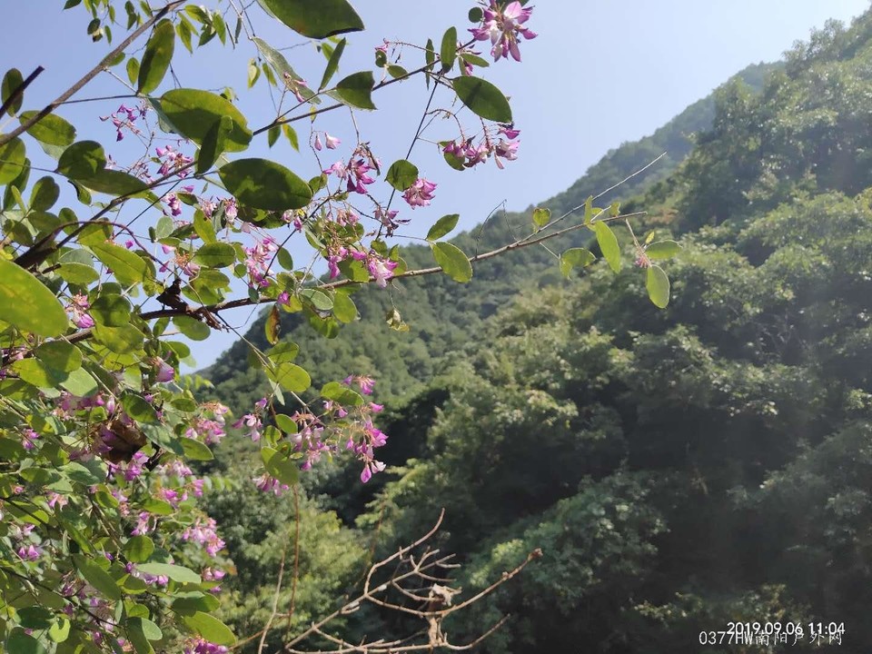 yo30pupMFdwrAwcrBr28bUxOSOrnOe6YLn-ILFe0aYbDiXkX6Z7Jwx2BZPw1kkmR