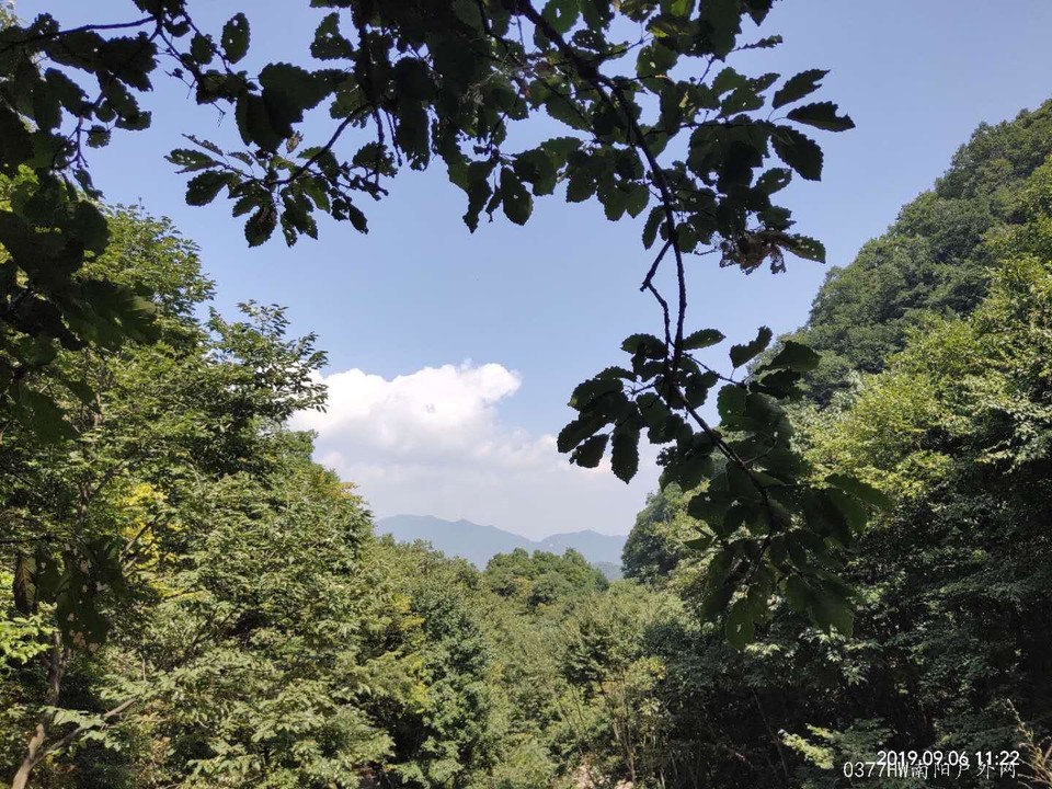 lMjPPUHVB5NFKphHkACrAqio1GAiRbd557LssckWOlKQIyj07xSNWiPNNkFq5ZIP