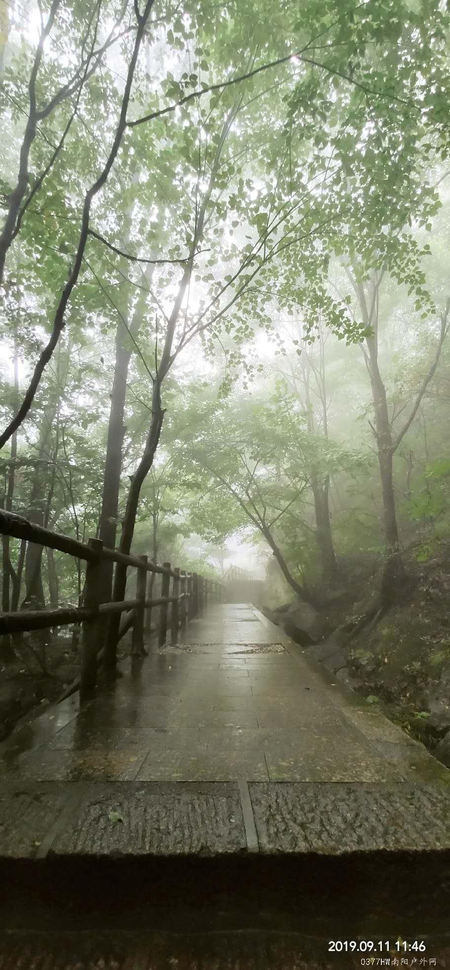 1MtI_B3r-yQ2CHrEKzXlzA6Vu5xNVsQohEJ4BrMDmYV3GFWX4FuCQTgFv4ftYREy