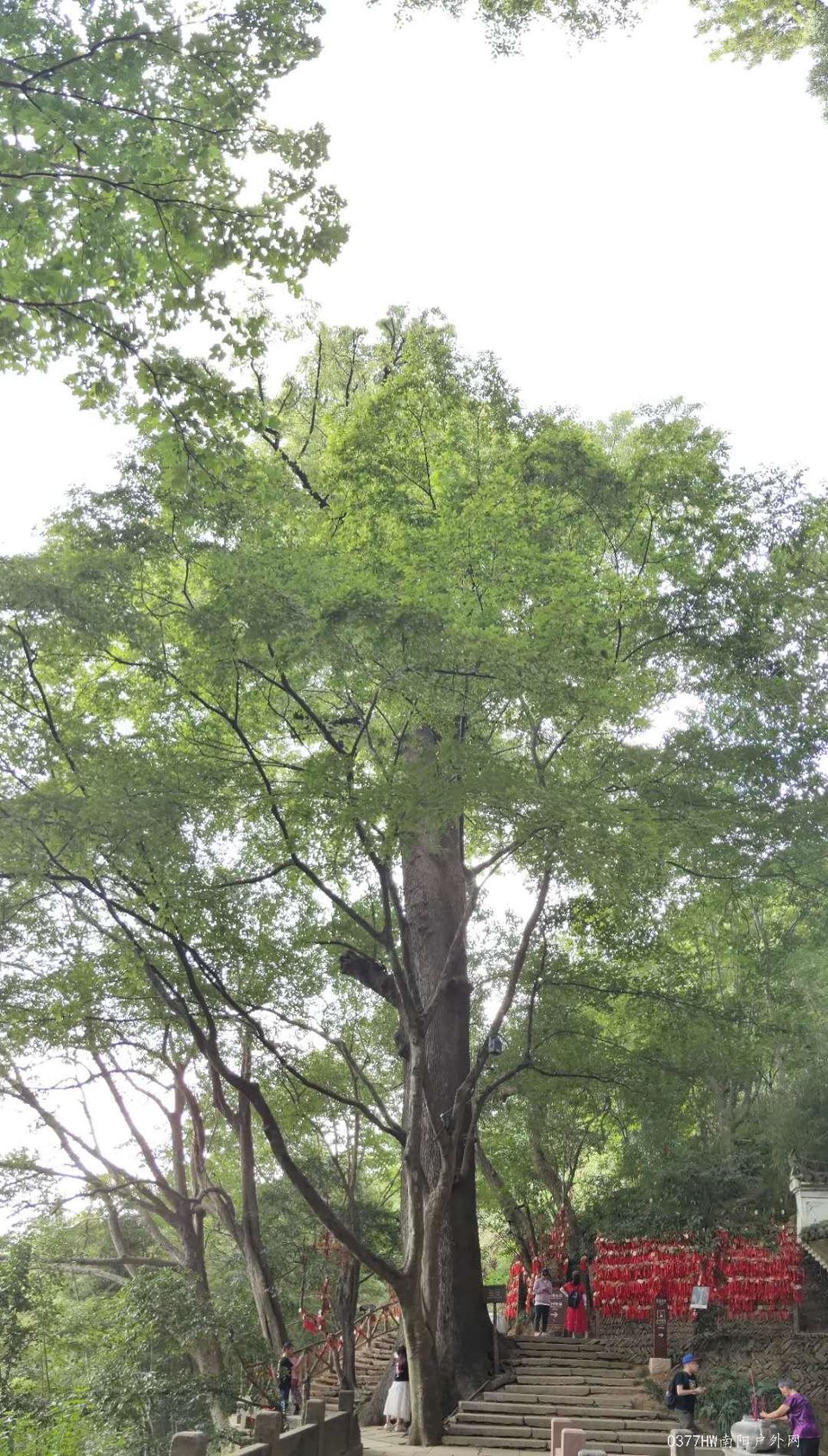 pGR4FdhXxq20CnP-1OgBrFr_JEXaQyH4HvyvG021fEvmBnyRjisMS8pxjPuCYaDH