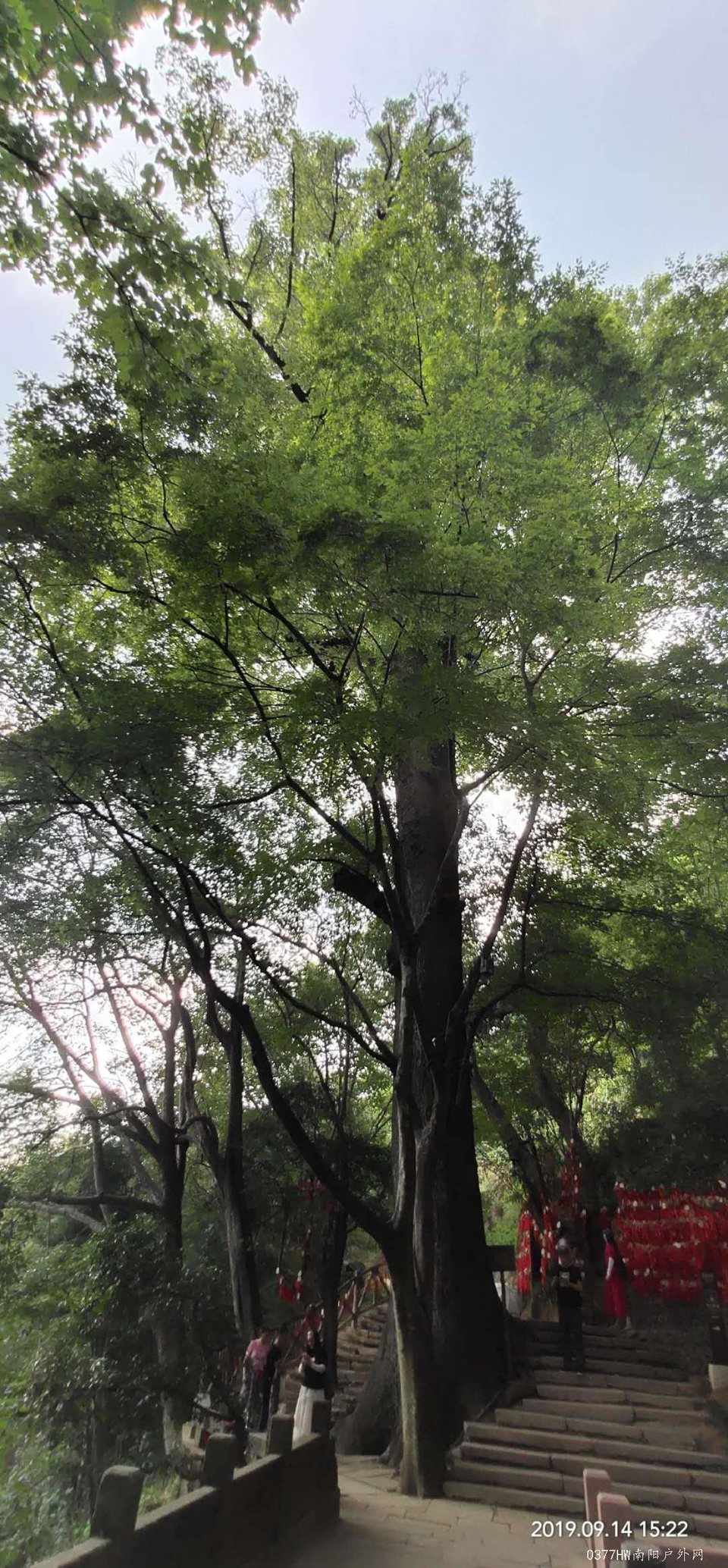 i4odPxqK_61JJyhFPvskDYISfUaJgRC2BQrqTDf8tPbDTYID6tApQ0hStP3QS0Lw