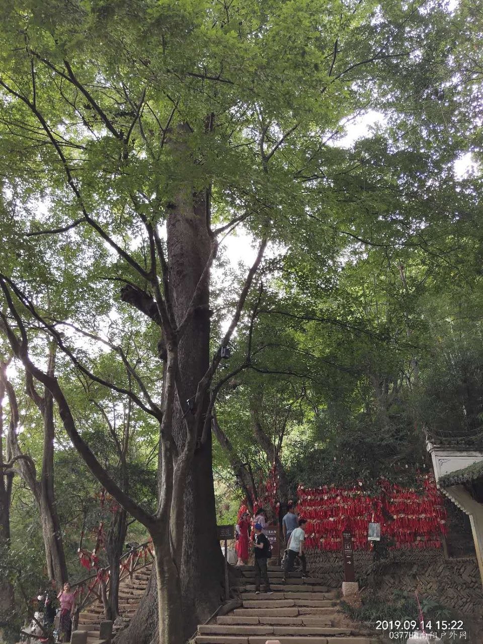 XT1X5kG-gB1ewzFom2xk9GYjtIJhsc8831PaAg7-Al6xUJ-KhfKSnm4CRTxHS_oa