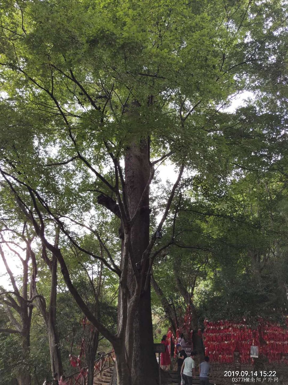 1XVA6ffYDKnBokQjH50ellIHqOpWL5u59WqCSFmKXHb1gIxFUSVQmsj-Y2GKPeMt