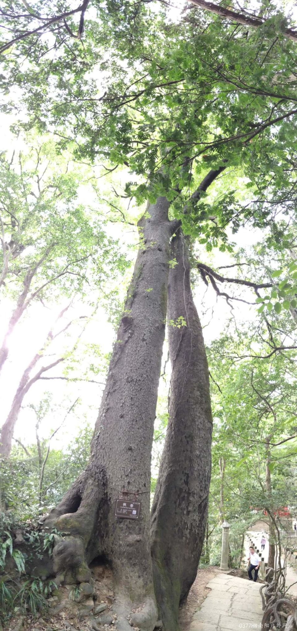 OEhOBaULdKdXTumKXwRNizVrkO1ow-8GgGBo2lXEqlfvhJ5iE2U73Z2jQ39zaoEe