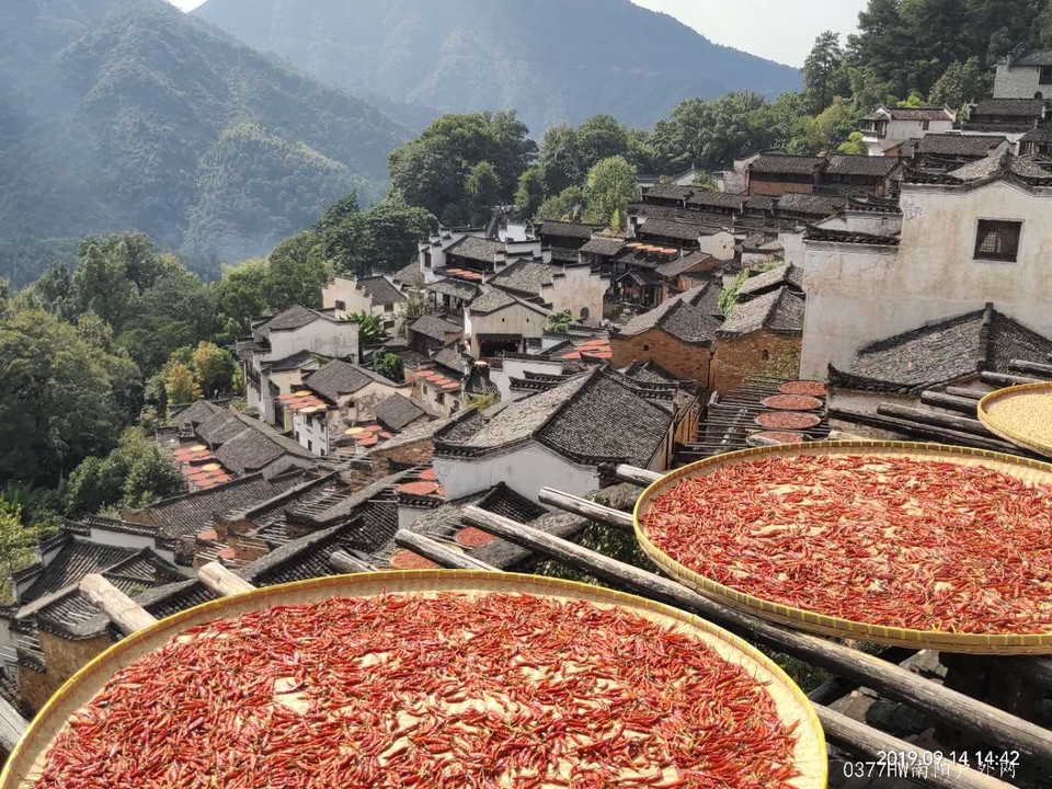 H0SvmZFHzCRRvcQDobPRitpXFCMIEWCN1C_BCPZ2piHReeLimlRFkrMvS7Po3zl1