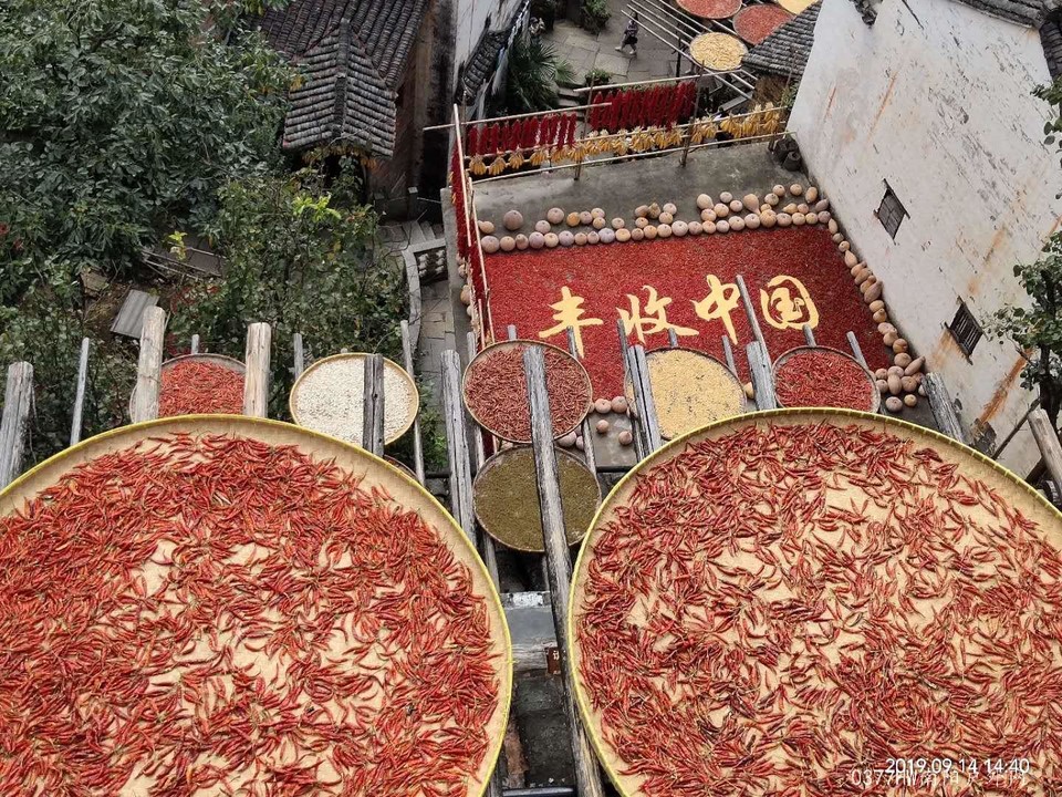 W0slDSwQByoNtjpWd71NWiTL_G2WrQ9gYTHW_jfSjFIBjKQ8CCwxZXEVvJBdlND7