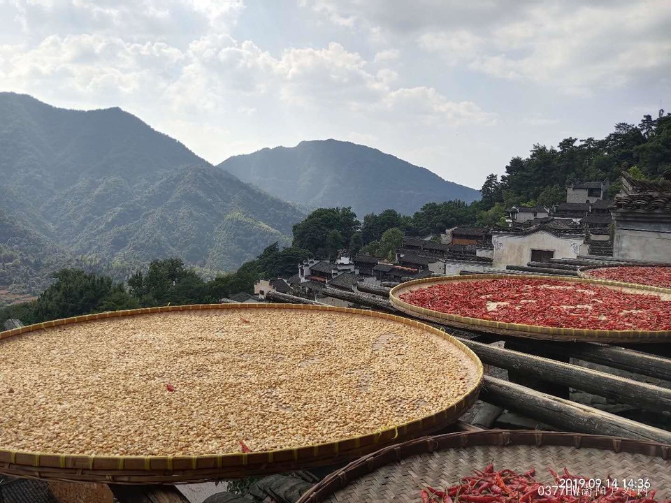 mjupMZRQyXhk5vlkblXAIv6nUw1tI3YBXLOzB9_Rr0HZ4yoLgo_0RPyvXgaoJd24