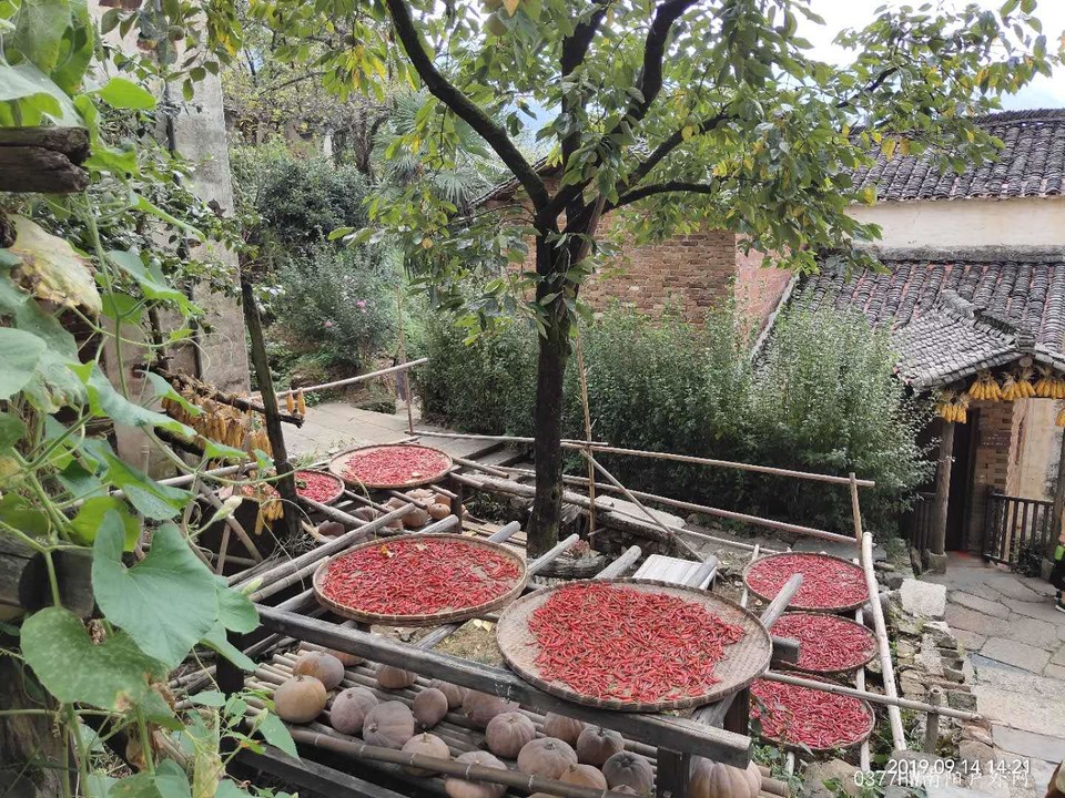 9peO4zXbiKKZpPMWP7ID9GI0u90Hi6J-r-hUUm1XtAlSopa4MZRKu1Bj-SFGMokN