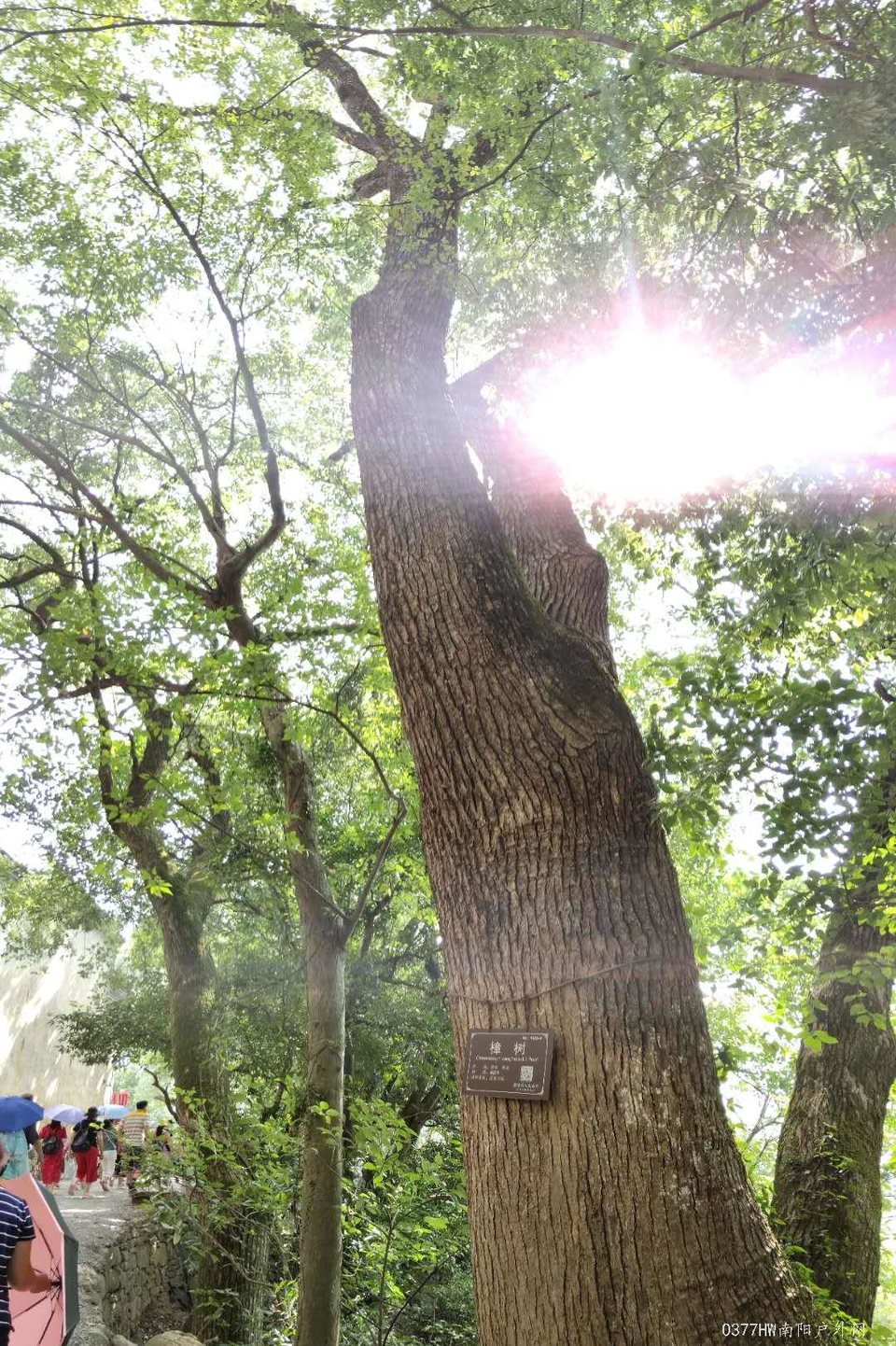 vAtpHivwtc9YJTcS3ABnK8HWZTuYVEeP9prIQQ2k_nlH__1mI3nVubj4i-UL-BRA