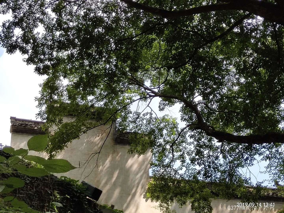 RvxGCAGhud0bfLhSvnsRbIL3O1MAMQaZh0-SupoWUxohKYb6T1Y-z4J2M6oG7T2W