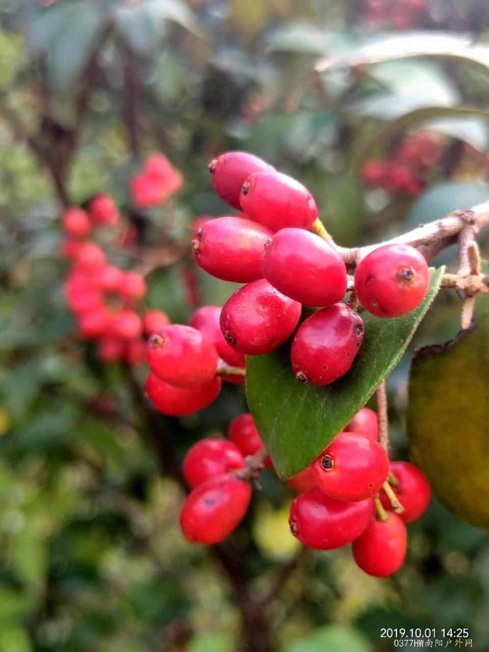 So5MhhfiwCwxiExAHvOudz-fJNq2bT_wWoDLKoPWtJgUpl4WjtaqaeEXZ8zV1L6n