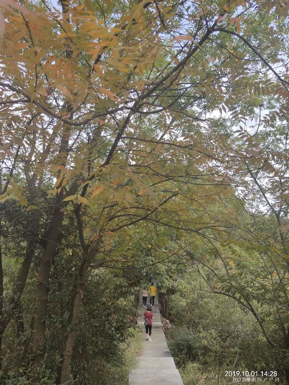 01wx2_zKydAjBxDZZrJrD9_qJItnIpOcgQSLq5KVc28il31odtzGlis00CSisYXJ