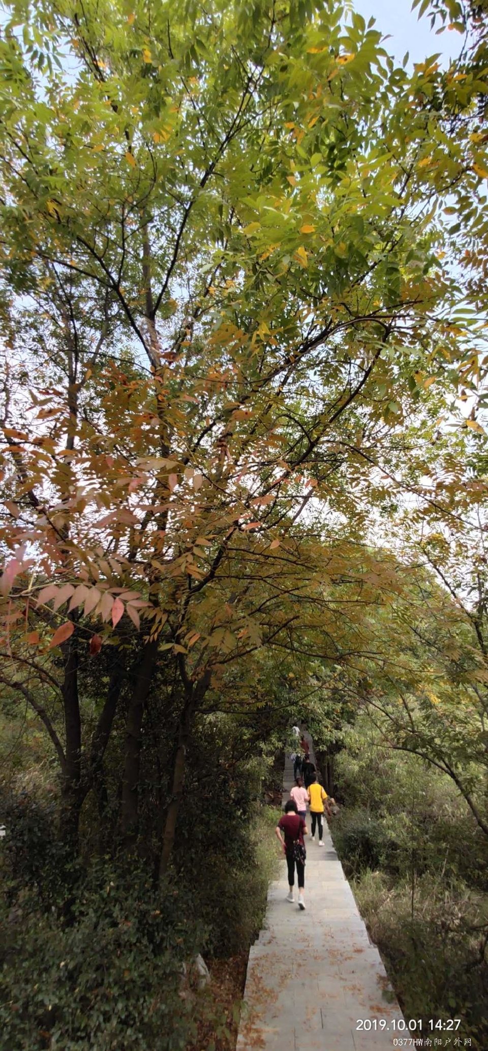 l8ZSDLBr4VzbvXw3OnP0IdkB_9n2gxQt8uX0yhh4b2uHYcNQ_fo52AgJXE9xW0Qc