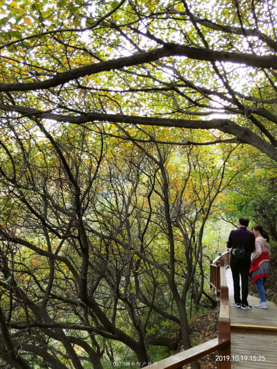 wKo_gpnI69jU3PCai18XD-fxJBvaXPWqJLwHqXAvKqGb9EIgAXXi2zCpuKrjk_gz