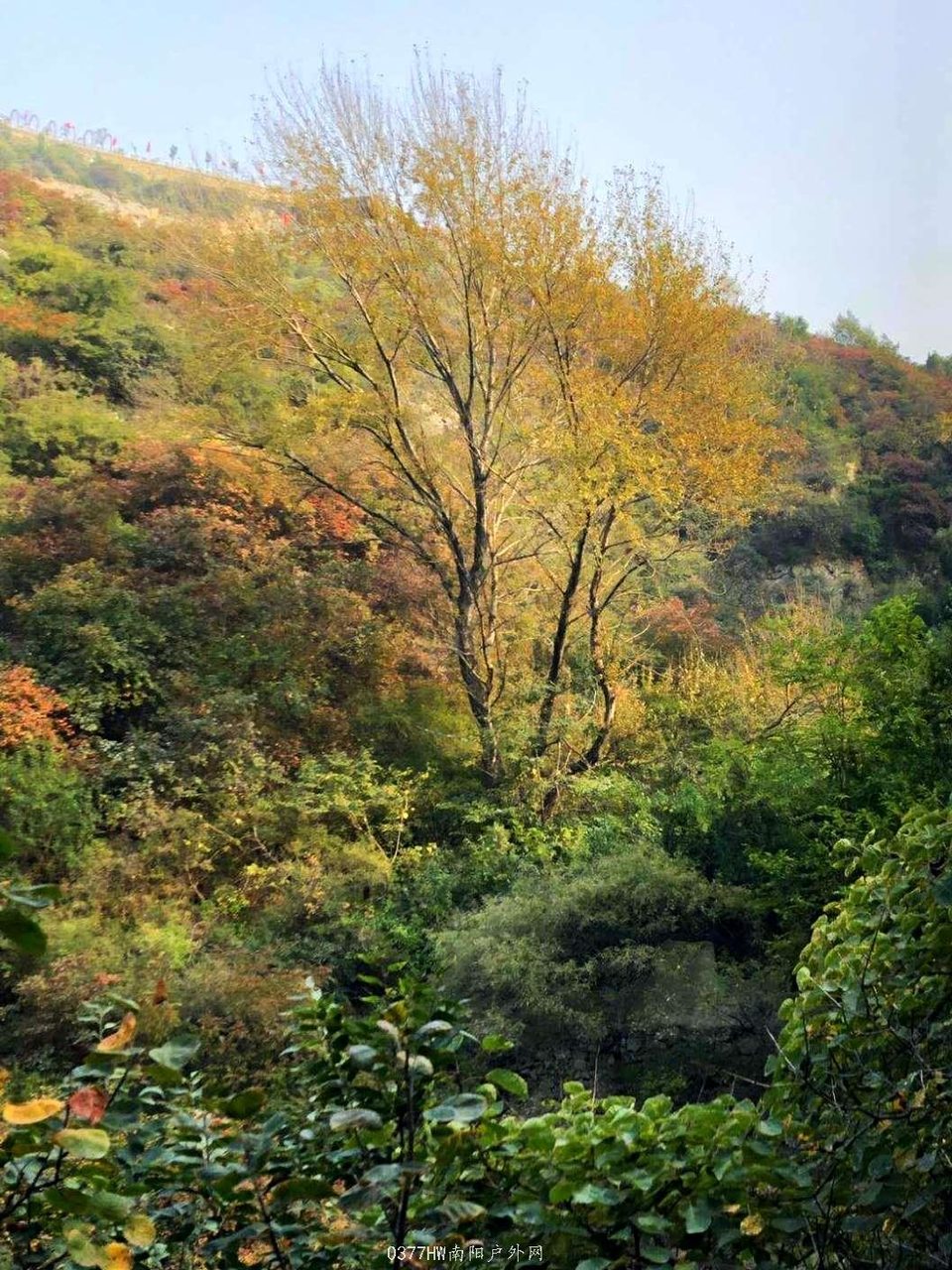 sgCspSPPuTHzFEUHHdRGB5H3i6w-4fzAzMdep-i96bwMuHmeCskduqtGAknfdeFC