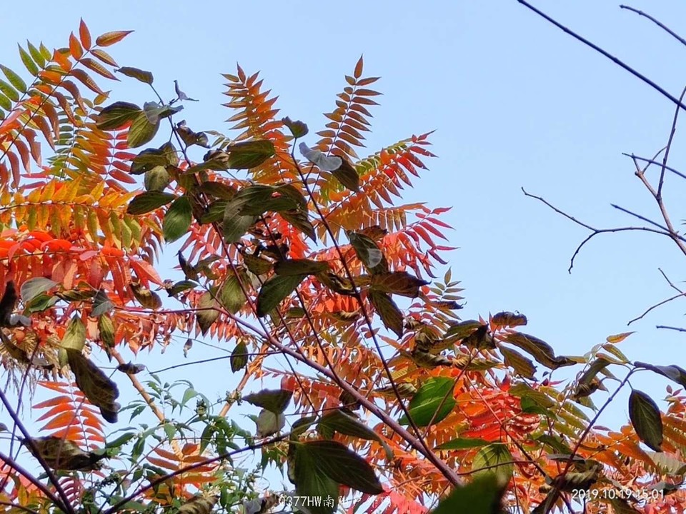 zwwCiFnLmfsyF13BV16-6i8Z7Wb0kl_kPE-LUZp_mFydpvSfiMSXJr0hsPUZ9_Yw