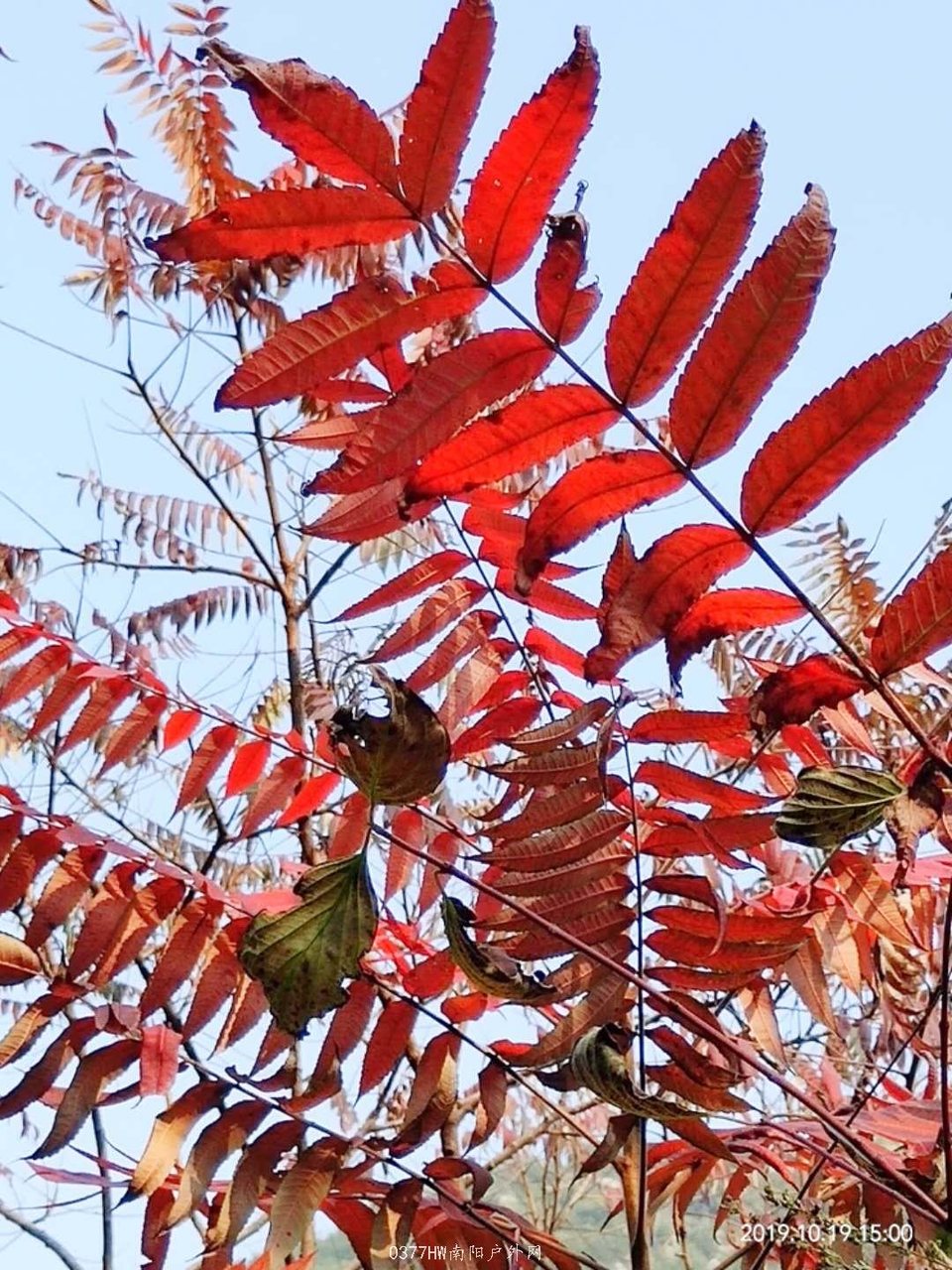 oXtxOUqxoyp025yP-zGQ969yYnMF6q7Jx0iHtSSzgB_2L3xDte-6vg7ystlUeUVU