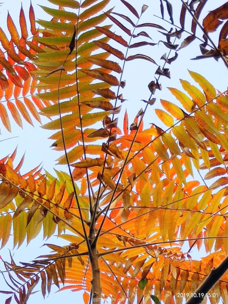 kDYfOP-HMWDDd1nz6q7vqd9G_xon0TvGaKyNYkl0QfQ8F8UhfFN04hySF2PumHfc