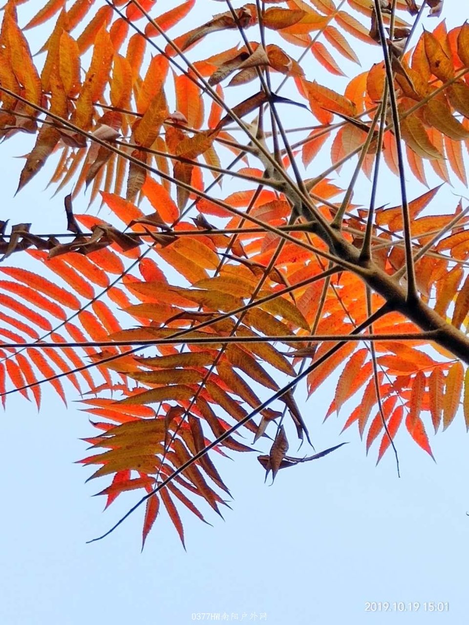 n8qvzh5MkdePiMxDO5-JL5Eio-S7JUlDnjwaIFJAvBCRouuZPJl6fN0j1U-ZBzaQ