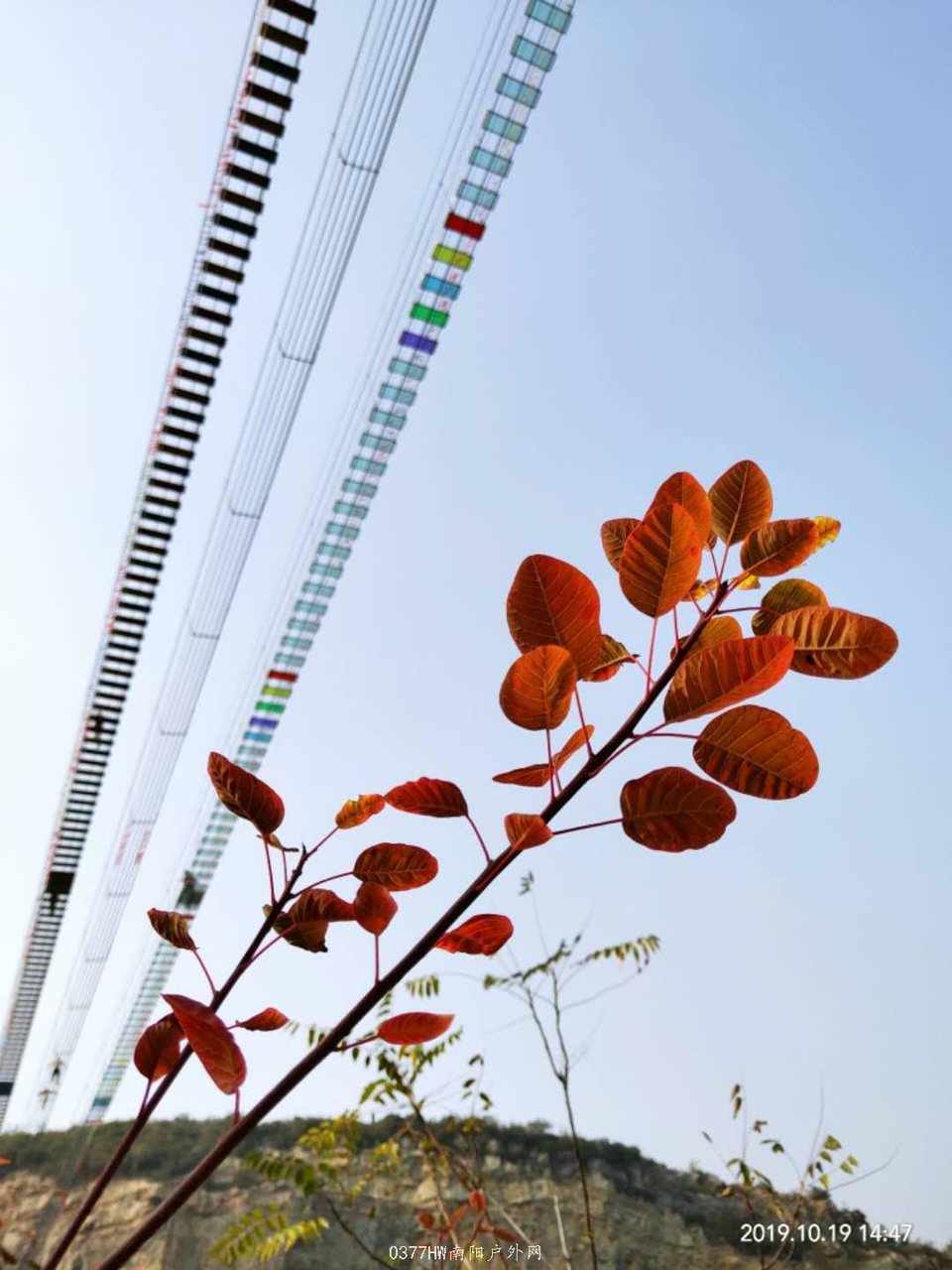 LzPgC12aZ2b-s2v_UsRwCYrqsz2qC4HqcWgDumoV1es322QpxF1zvGdwM5qYdWxR