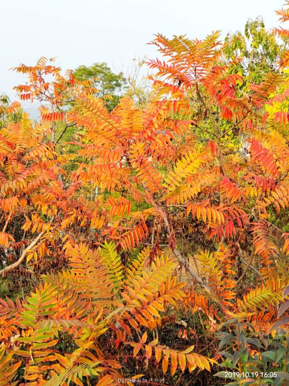 GHgZnc3dhUjXAfCq4FYzgs1Hn8mFPh3_U2VxOygJff-VrlRD0h4zq_EFtAWazTyg