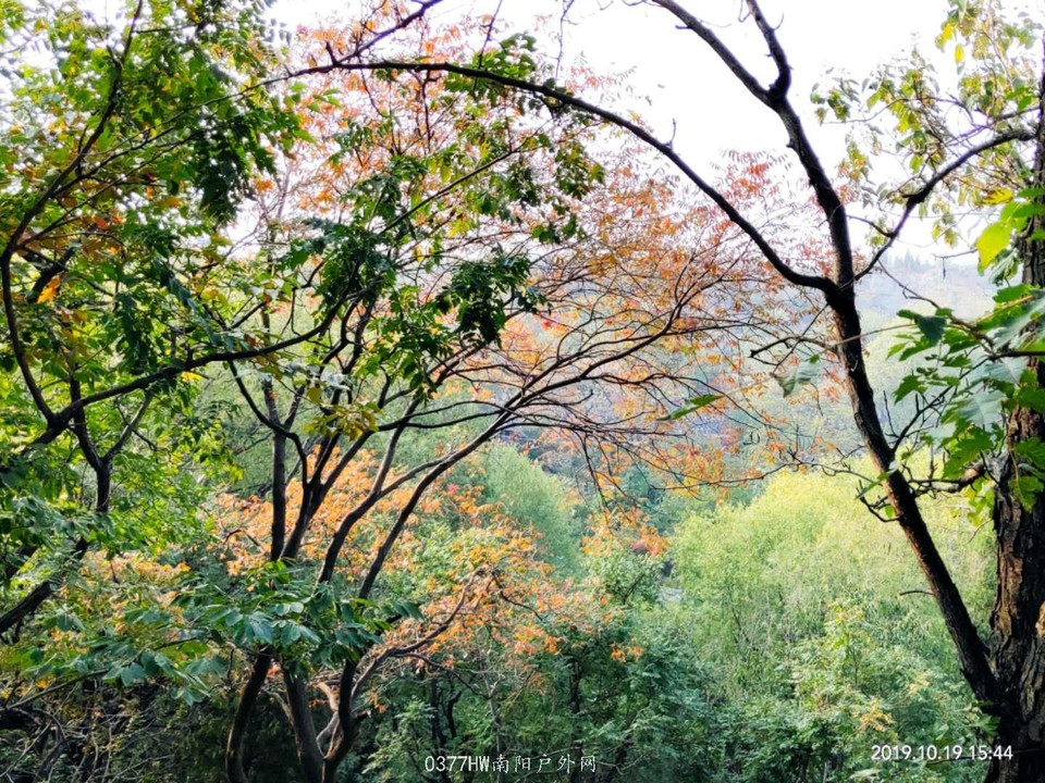 R2tb-kewh2fP1-3glsUXAKKC98qEjh8O-ndx7hxMm5abjHwRTC96TSDO3n6vsUbW