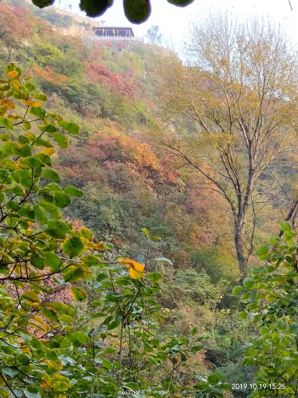 6j4CxqDhH1BcGn4tlLCidYHXRzx0XjGDV1AzASgAxQa8JT5X5HCyJdooCWOl1YEO