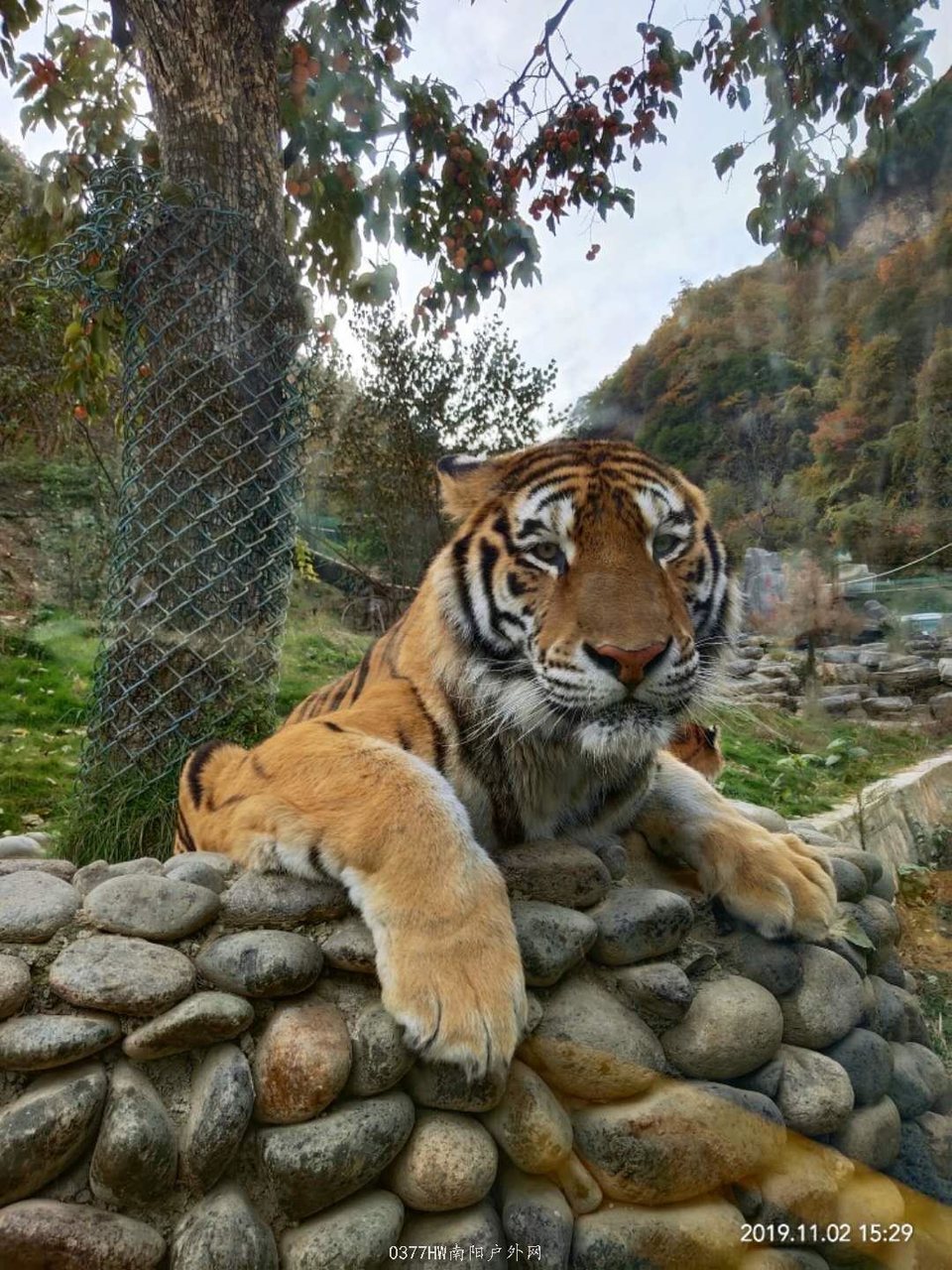 rJ_CwglNGXsXKpyqhaUQefhzyIHV3DCx_t8Mf1v42JyrWCePR4IFdVRP4C1g5mCa