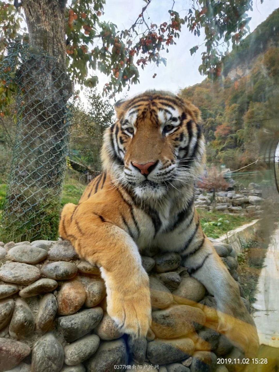 BYFBuPymuOCO_KxyBAJzWLFK_4waKt-B_Htjt5jXEk7PVLCZSuZxR2OBzUKoFDjv