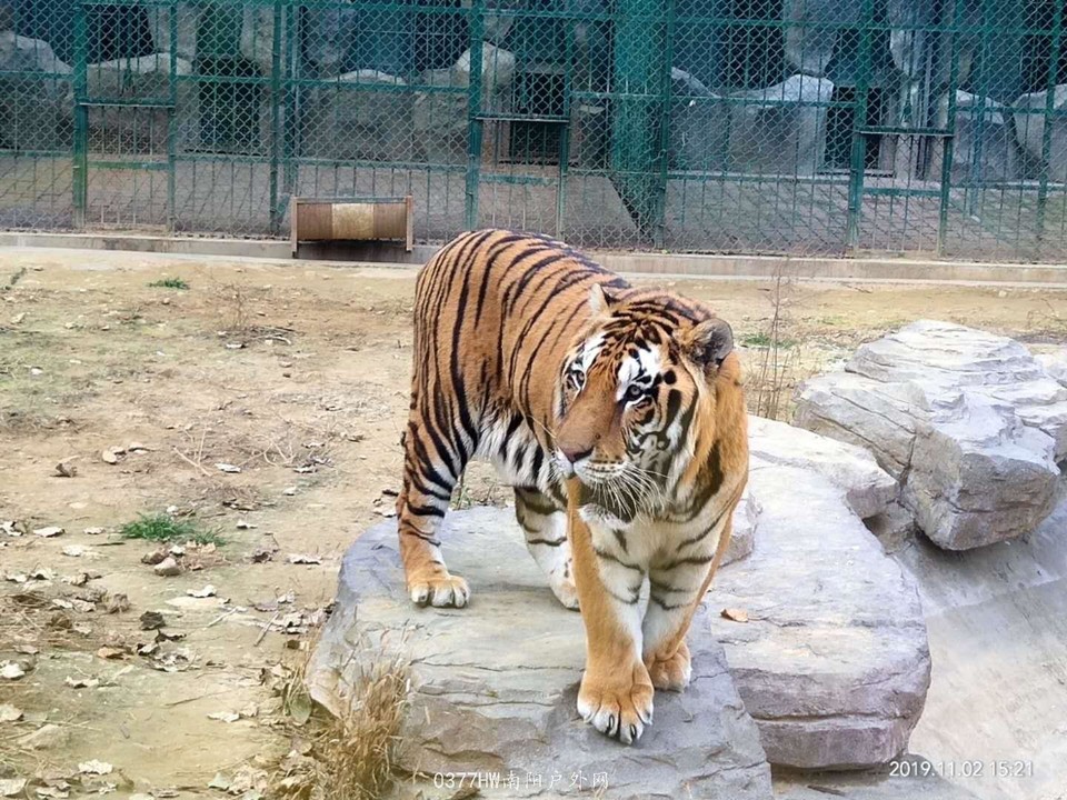 -jdQot5Bg5zelUoMSoh_ofxlaAiI1yGOncQuvtOKmu5r9CIF5kCjMUoN2czeteGX