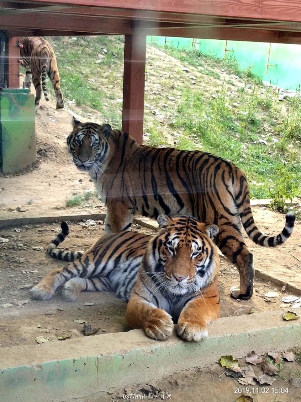 oGC0jwL4Ljzz4KrCShwQZds0Y3uw0-h-Xi-x4oe6f9enICryuUqxaI0i1lDade4y