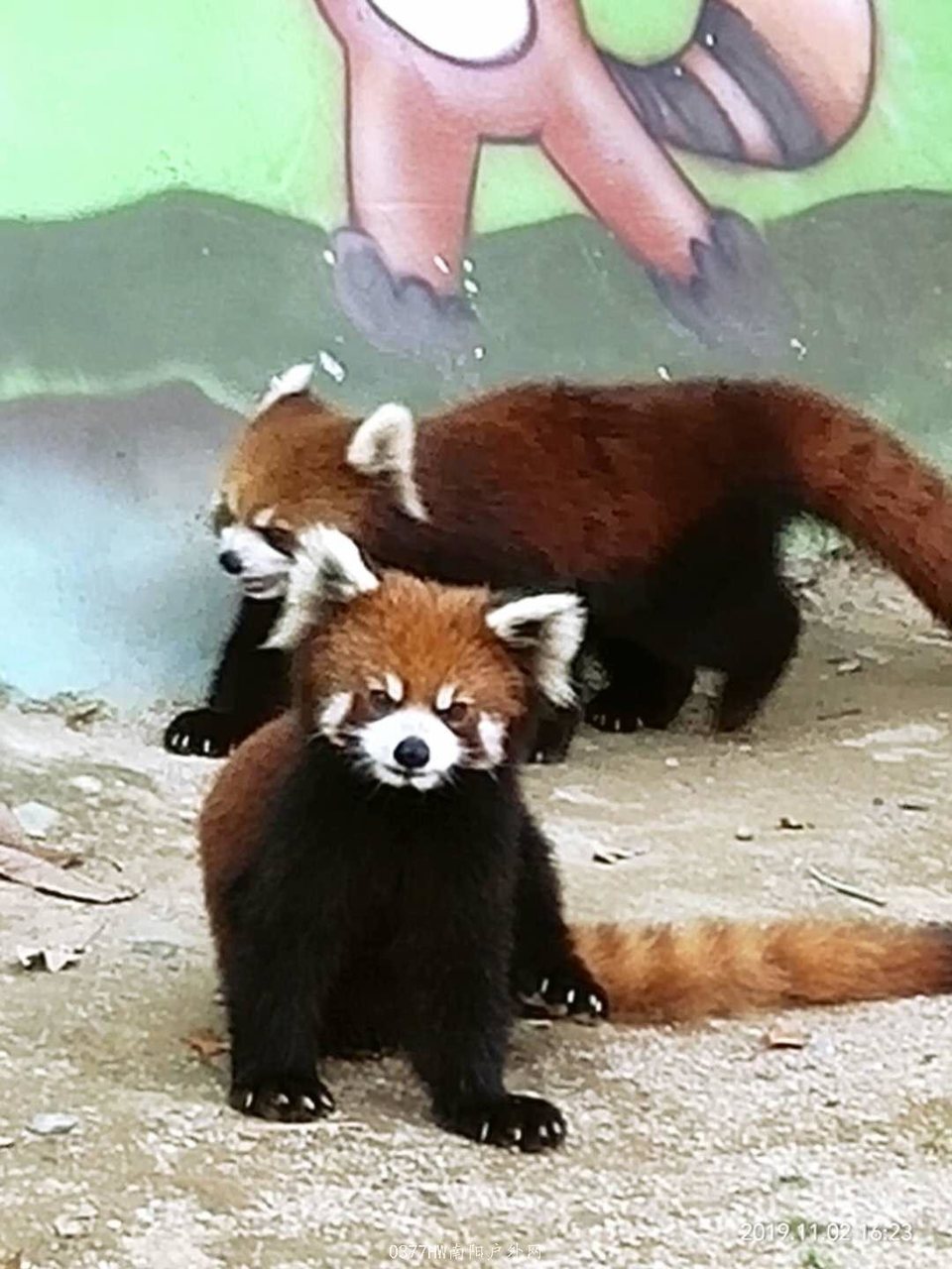 U2AgHHF99jc3ot_E3P4bBG0nreVT8p3sGhtpwQvbHlr-g_tUUsWUivTGKvmury4R