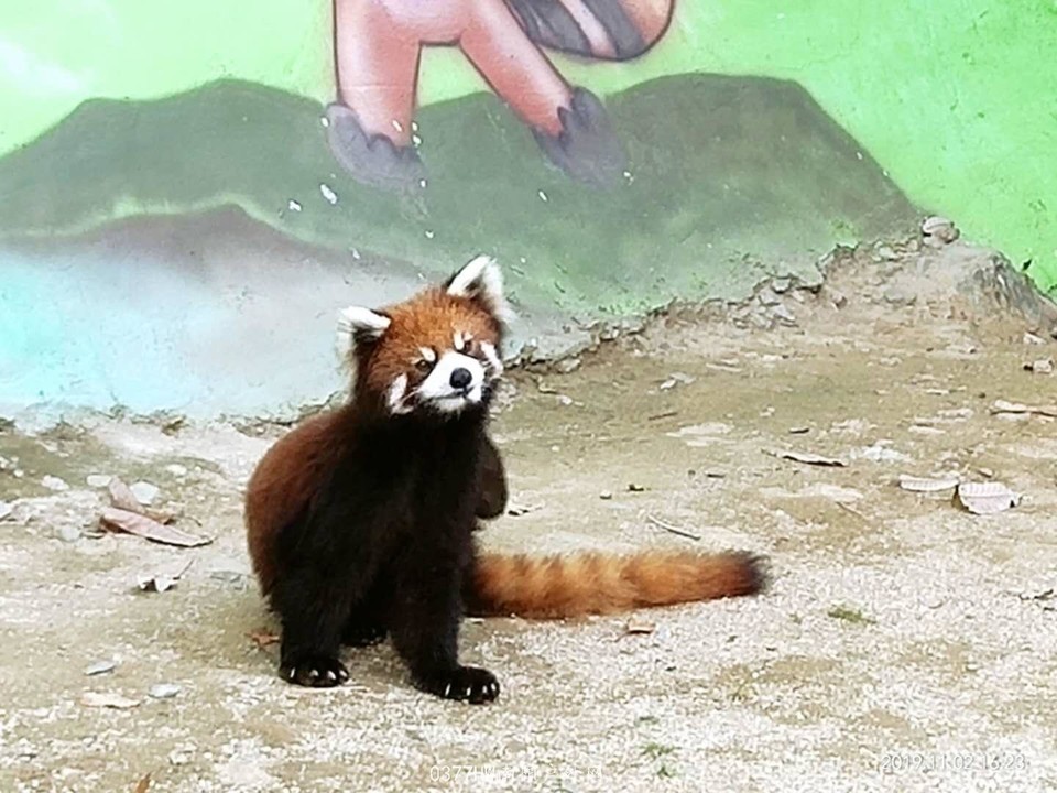 gZAzEw6cZHvQh8j-cI1FhBJjg19hIENR7oC3uOJsKdGPl9kzCNfzpjjoCuVz12wY